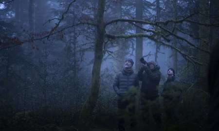 Whispers in the Woods