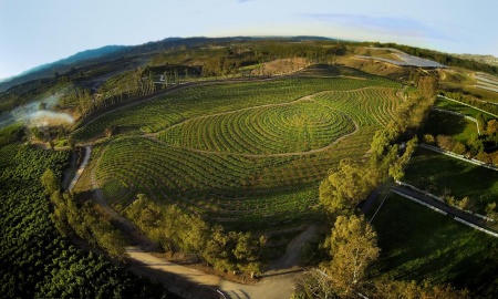 The Biggest Little Farm